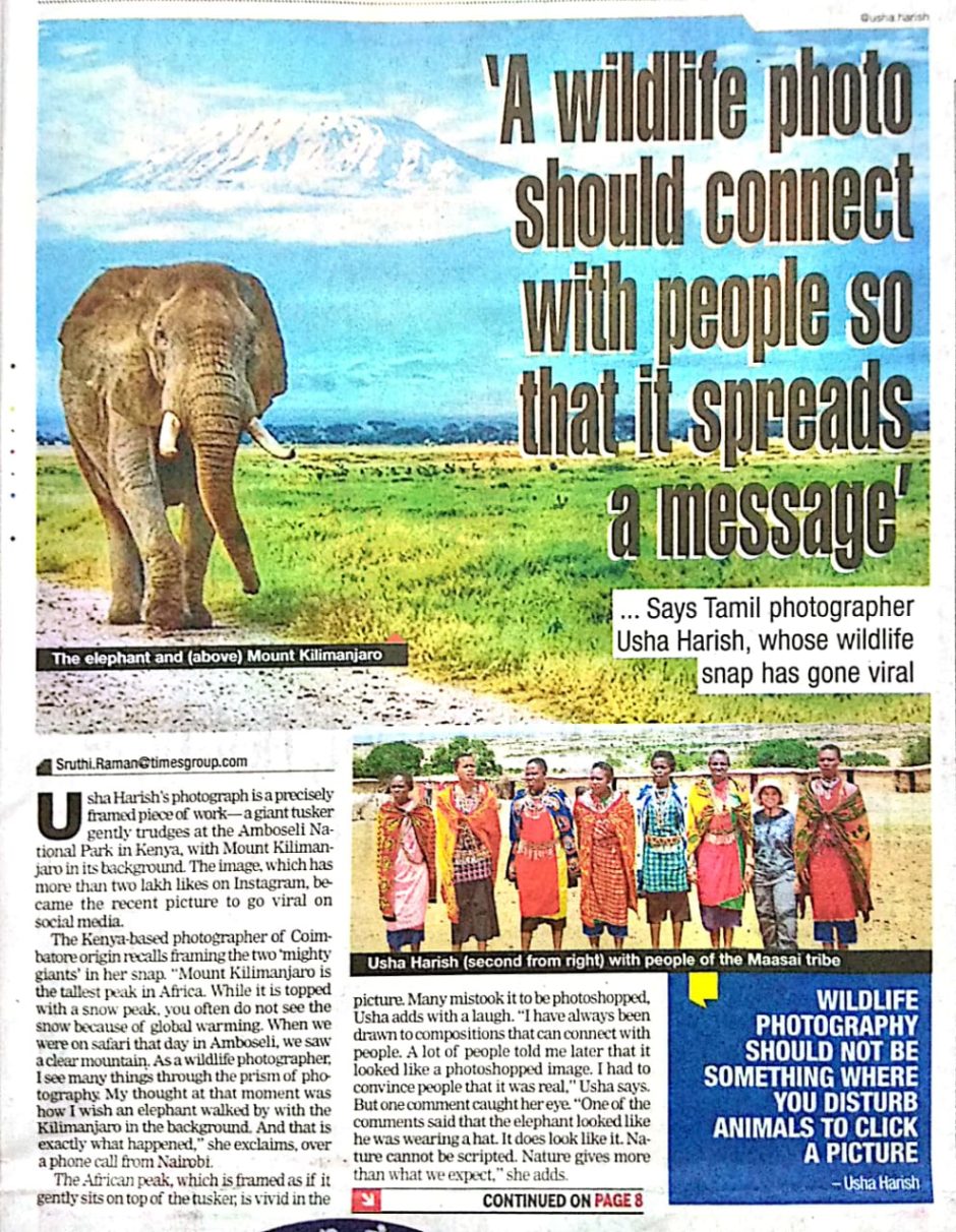 Feature in Apple and Times of India